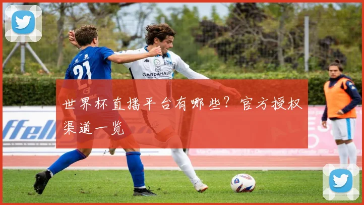 世界杯直播平台有哪些?官方授权渠道一览
